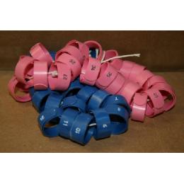 #FCN3 8.0mm FLAT COILED WRAP AROUND Image